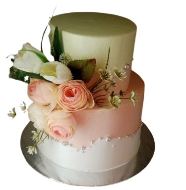 WhatsApp_Image_2024-10-26_at_12.15.27_0bfeaf47-removebg-preview